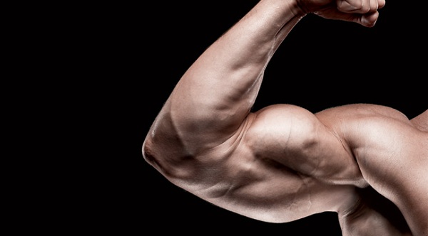Cách tập cơ bắp tay hiệu quả nhất