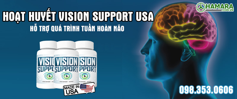 vision-support-usa-10