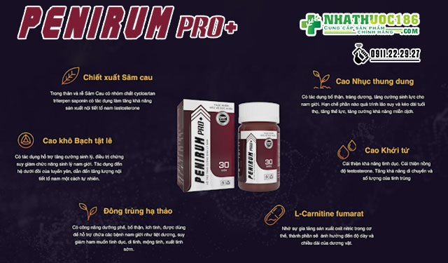 penirum pro thanh phan